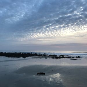 Meet your Posher, Ella